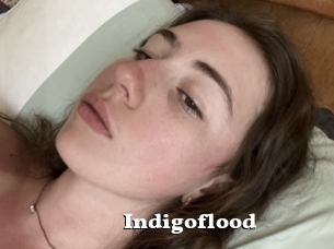 Indigoflood