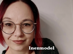 Inezmodel