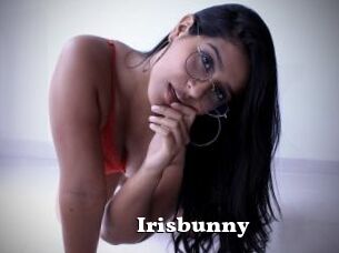 Irisbunny