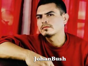 JohanBush