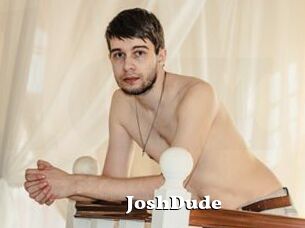 JoshDude