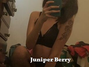 Juniper_Berry