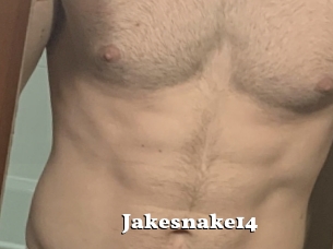 Jakesnake14