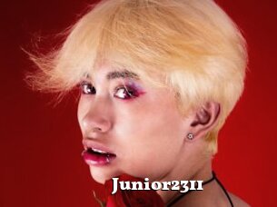 Junior2311