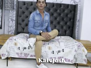KalvJosh