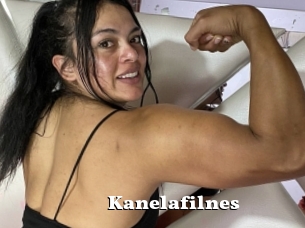 Kanelafilnes