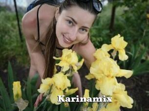 Karinamix