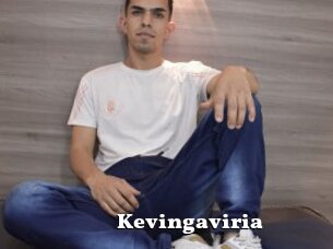 Kevingaviria