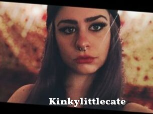 Kinkylittlecate