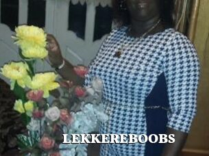 LEKKEREBOOBS