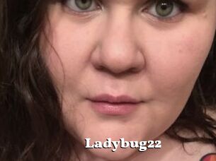 Ladybug22