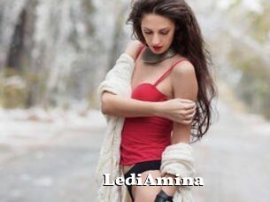 LediAmina