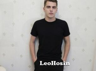 LeoHosin