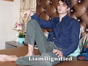 LiamDignified