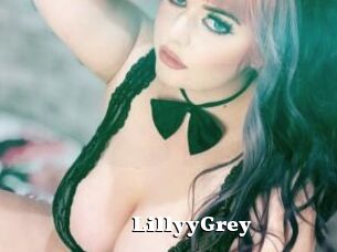 LillyyGrey
