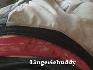 Lingeriebuddy