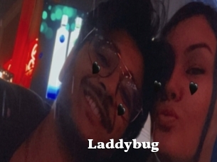 Laddybug