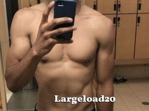 Largeload20