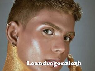 Leandrogonzlezh
