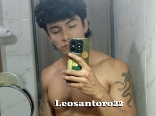 Leosantoro22
