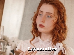 Leyamaller
