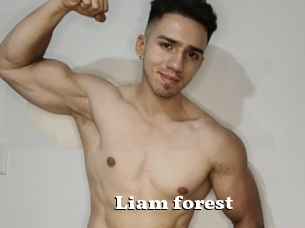 Liam_forest