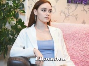 Lilacatten
