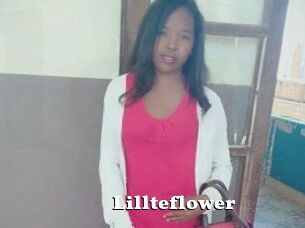 Lillteflower