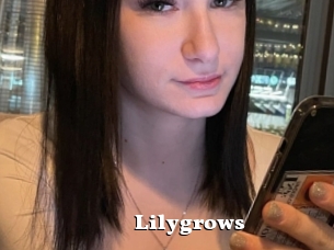 Lilygrows