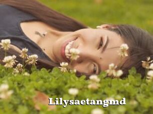 Lilysaetangmd