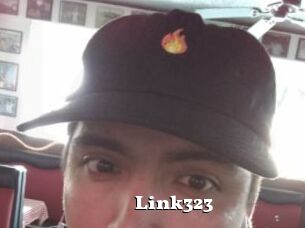Link323