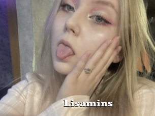 Lisamins