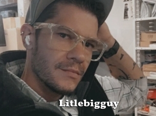 Litlebigguy