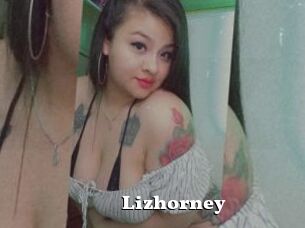 Lizhorney
