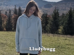Lladybugg