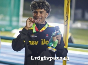 Luigispaez44