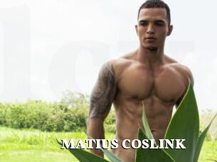 MATIUS_COSLINK