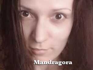 Mandragora