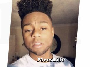 MeesLife