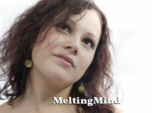 MeltingMind