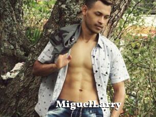 MiguelLarry
