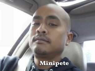 Minipete