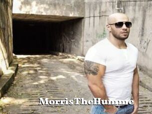 MorrisTheHumme