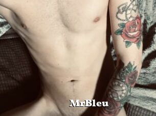 MrBleu