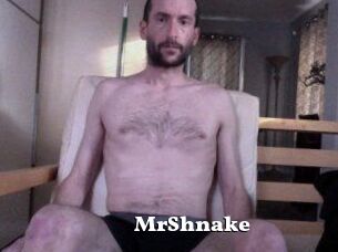 MrShnake