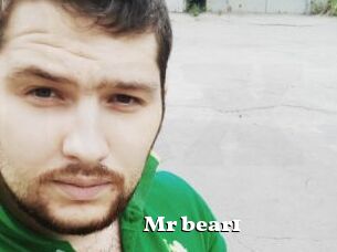 Mr_bear1