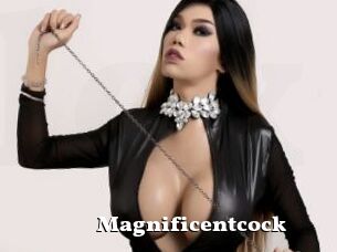 Magnificentcock