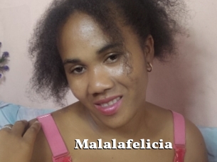 Malalafelicia