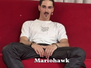 Mariohawk