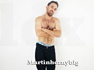 Martinhornybig